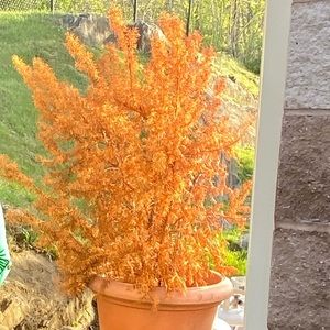 Meet your Posher, Sucheta